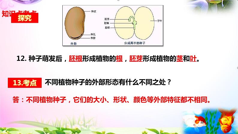 教科版科学四年级下册全册知识点归纳:总复习课件+实验部分+问答05