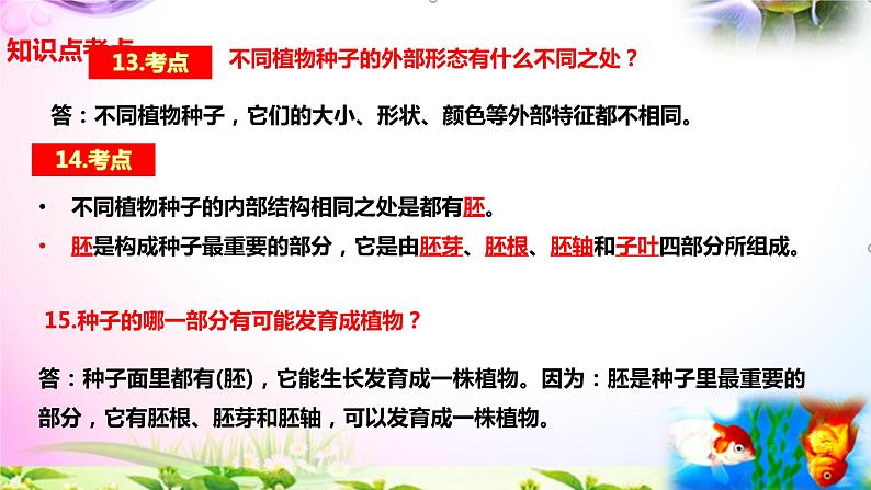 教科版科学四年级下册全册知识点归纳:总复习课件+实验部分+问答06