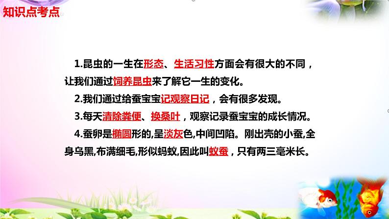 新苏教版四年级科学下册 10.《养昆虫》知识点考点复习课件02