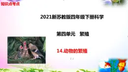 新苏教版四年级科学下册 14.《动物的繁殖》知识点考点复习课件