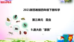 新苏教版四年级科学下册 9.《庞大的“家族”》知识点考点复习课件