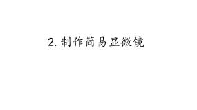 首师大版六年级下册2.制作简易显微镜课堂教学ppt课件