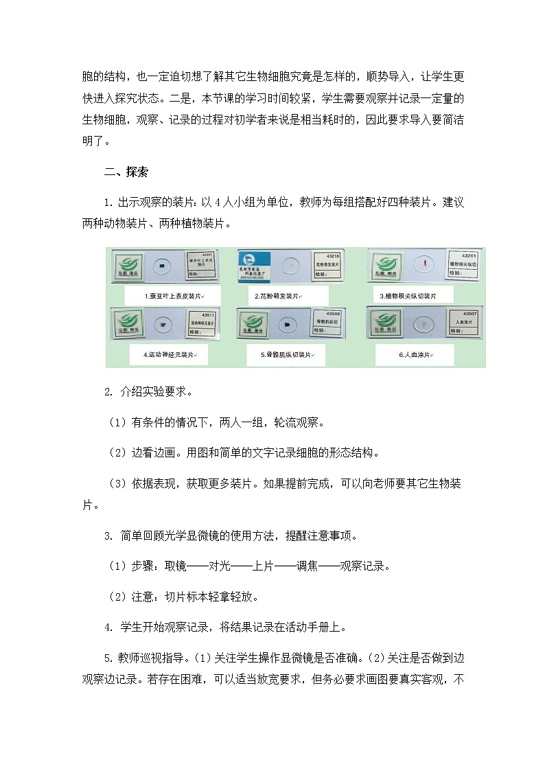 教科版六上科学:1.5观察更多的生物细胞(教案)03