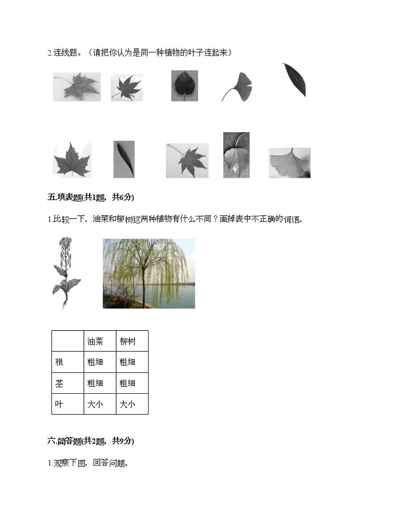 一年级上册科学试题-第一单元 植物 测试题-教科版(含答案)03