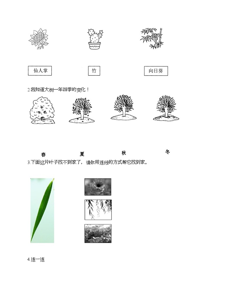 一年级上册科学试题-第一单元 植物 测试题-教科版(含答案)03