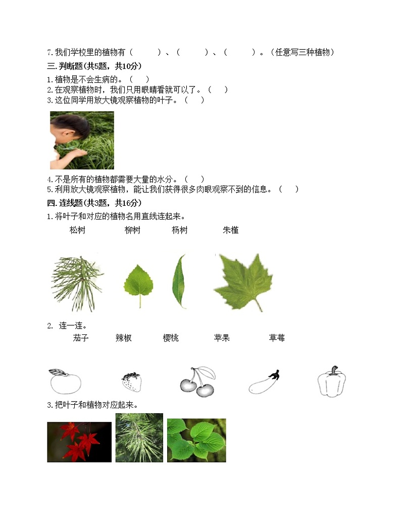 一年级上册科学试题-第一单元 植物 测试题-教科版(含答案)02