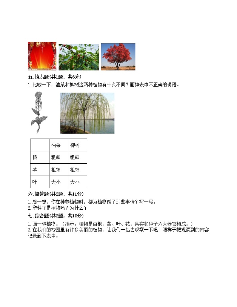一年级上册科学试题-第一单元 植物 测试题-教科版(含答案)03