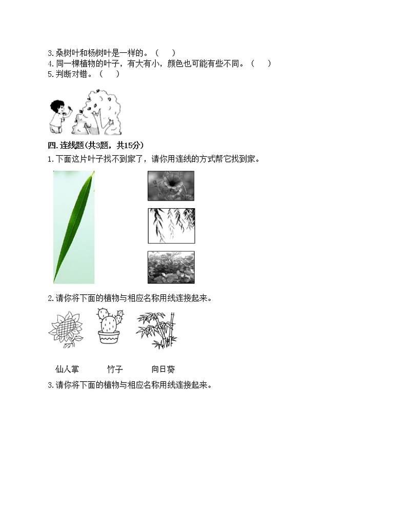 一年级上册科学试题-第一单元 植物 测试题-教科版(含答案)02