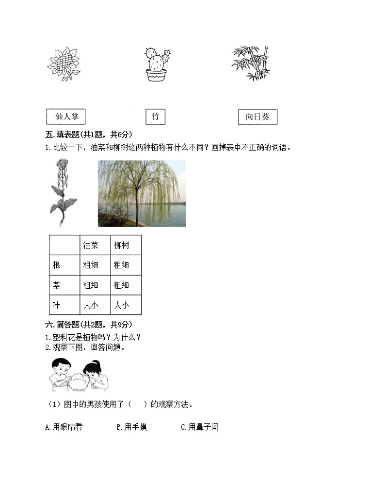 一年级上册科学试题-第一单元 植物 测试题-教科版(含答案)03