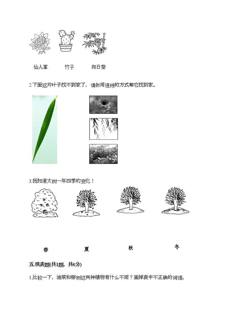 一年级上册科学试题-第一单元 植物 培优卷-教科版(含答案)03
