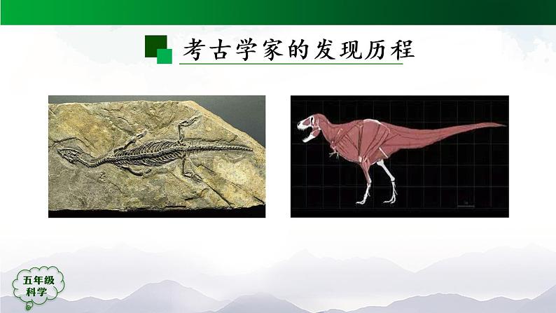 2.7 灭绝的远古动物 课件08