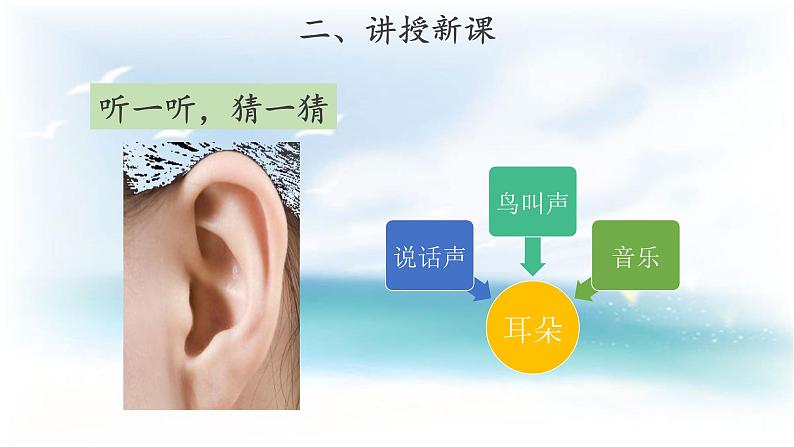 【教学课件】《“五官”兄弟》第7页