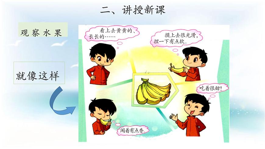 【教學(xué)課件】《觀察水果》第6頁(yè)