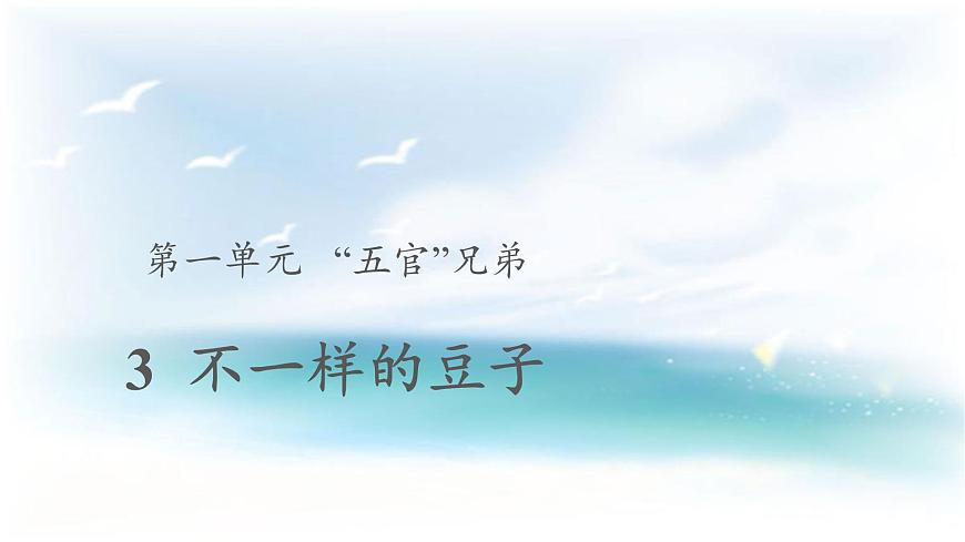 【教學(xué)課件】《不一樣的豆子》第1頁