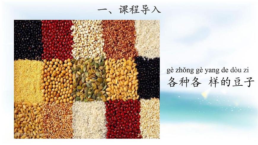 【教學(xué)課件】《不一樣的豆子》第2頁