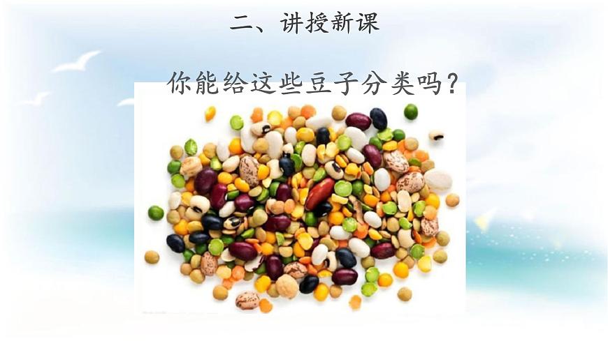 【教學(xué)課件】《不一樣的豆子》第6頁