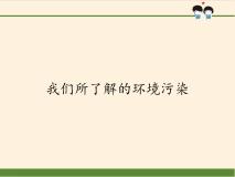 政治思品四年级上册(道德与法治)10 我们所了解的环境污染教学演示ppt课件