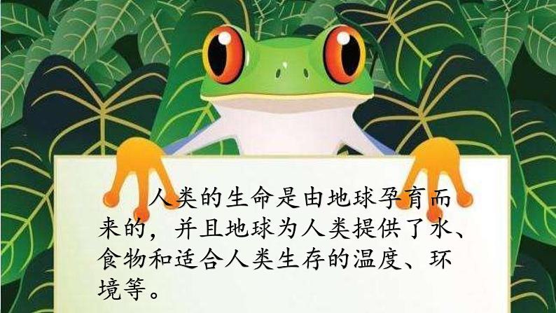 【人教部编版】最新二年级道德与法治下册:第十二课 我的环保小搭档· 课件06