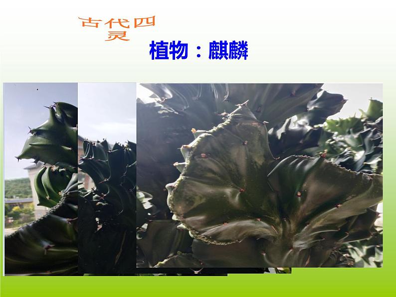 四年级上册道德与法治第1课《我们班四岁了》PPT教学课件(第二课时)第8页
