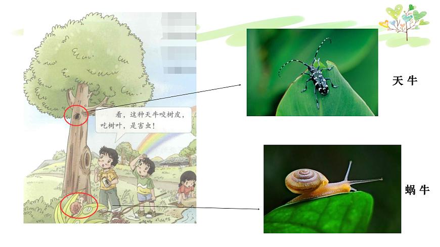 部編版道德與法治二年級上冊 1 假期有收獲2 課件第5頁