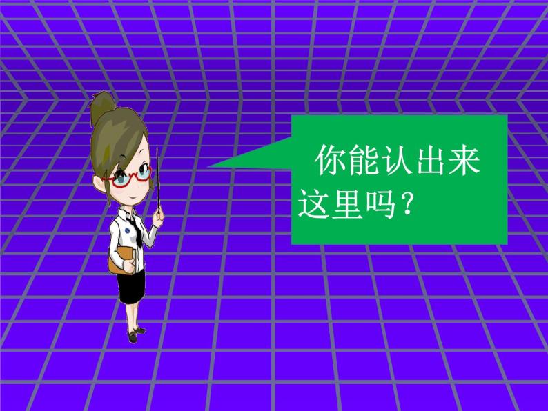 部编版道德与法治二年级上册 16 家乡新变化 课件07