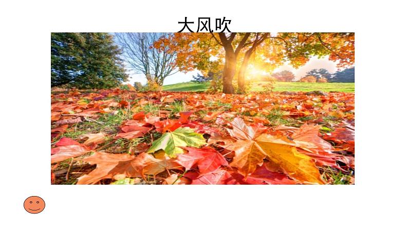 三年级下册-1.1 我是独特的 课件(10张ppt)02