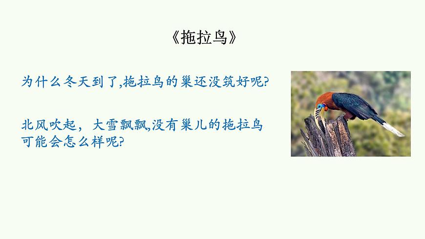 一年級下冊道德與法治課件我不拖拉人教部編版第3頁