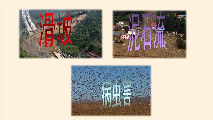 部編版 五四學(xué)制 五年級上冊 道德與法治 16. 應(yīng)對自然災(zāi)害(課件)第7頁