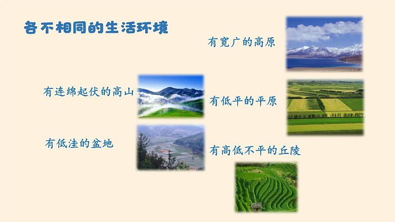 部编版 五四学制 五年级上册 道德与法治 14. 多元文化 多样魅力(课件)08