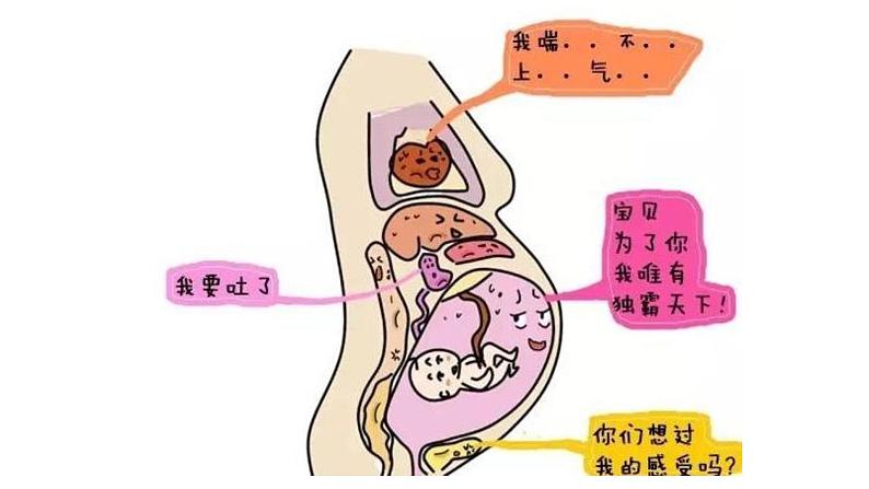 三年级道德与法治上册7生命最宝贵课件04