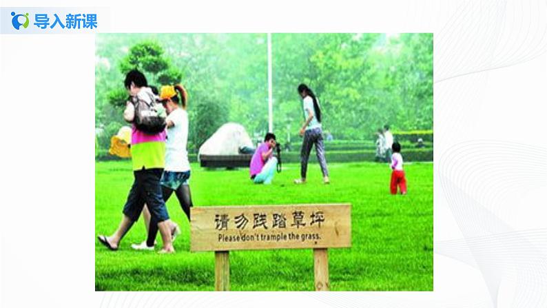 第六课 花儿草儿真美丽(2课时) 课件+教案+练习+素材04