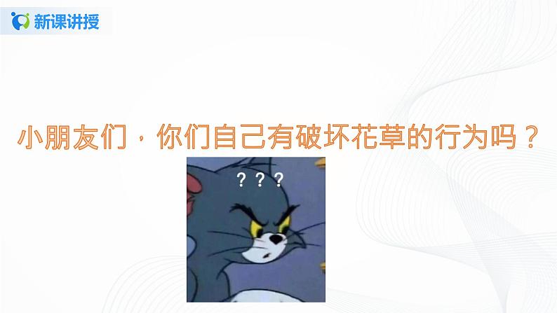 第六课 花儿草儿真美丽(2课时) 课件+教案+练习+素材06