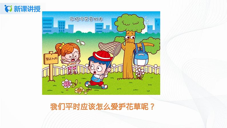 第六课 花儿草儿真美丽(2课时) 课件+教案+练习+素材08
