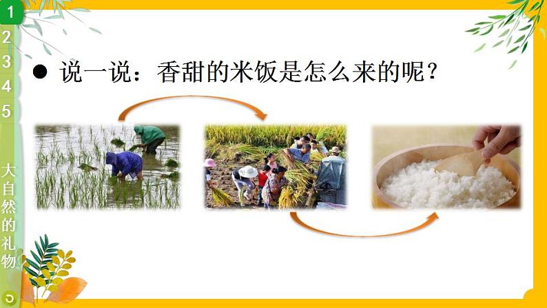 8 大自然,谢谢您 课件第5页