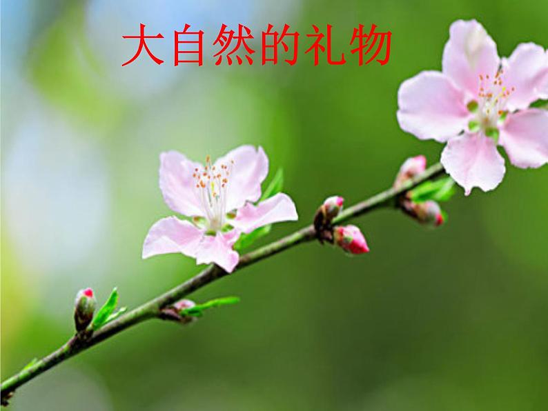 一年级下册道德与法治课件-《大自然谢谢您》部编版第2页