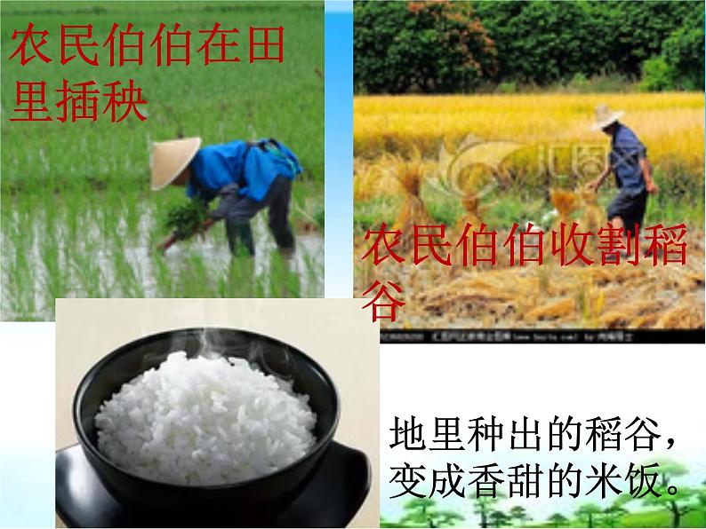 一年级下册道德与法治课件-《大自然谢谢您》部编版第4页