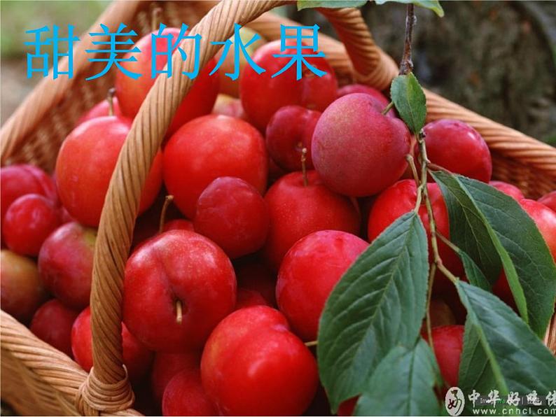 一年级下册道德与法治课件-《大自然谢谢您》部编版第7页