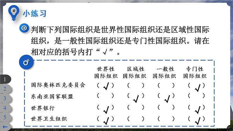 9 日益重要的国际组织第8页