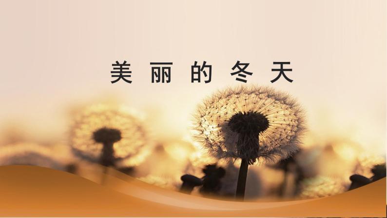 最新人教版部编版一年级道德与法治上册13美丽的冬天优质  课件02