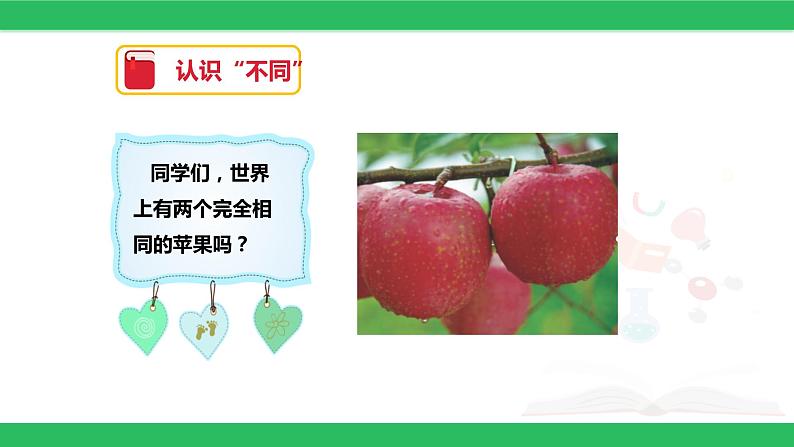 2不一样的你我他课件PPT第3页