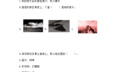 2021-2022学年二年级道德与法治上册第四单元我们生活的地方测试卷（含答案）