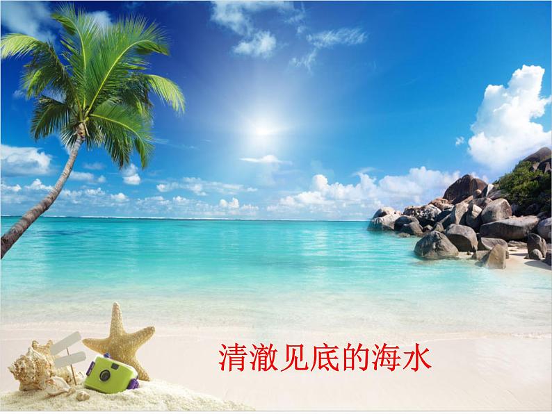 小学二年级下册道德与法治-12.我的环保小搭档-部编(3)ppt课件第6页