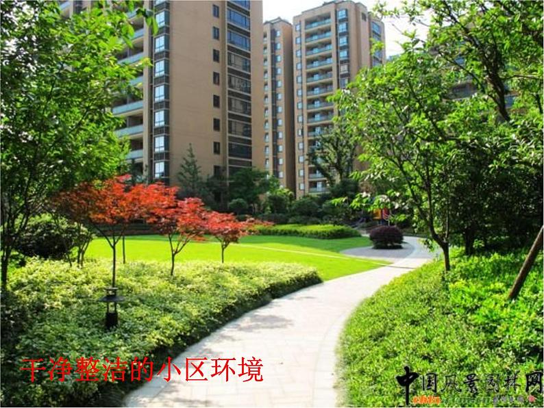 小学二年级下册道德与法治-12.我的环保小搭档-部编(3)ppt课件第8页