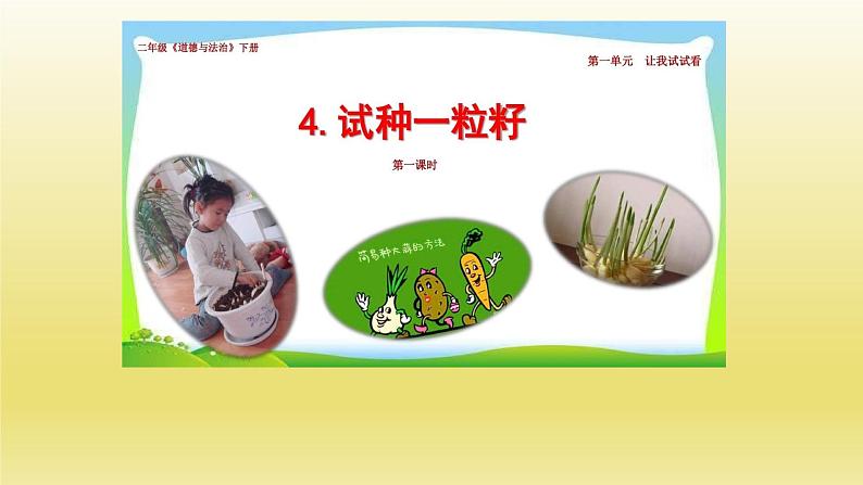 小学二年级下册道德与法治课件-4试种一粒籽-人教-(新版)(22张)ppt课件第2页