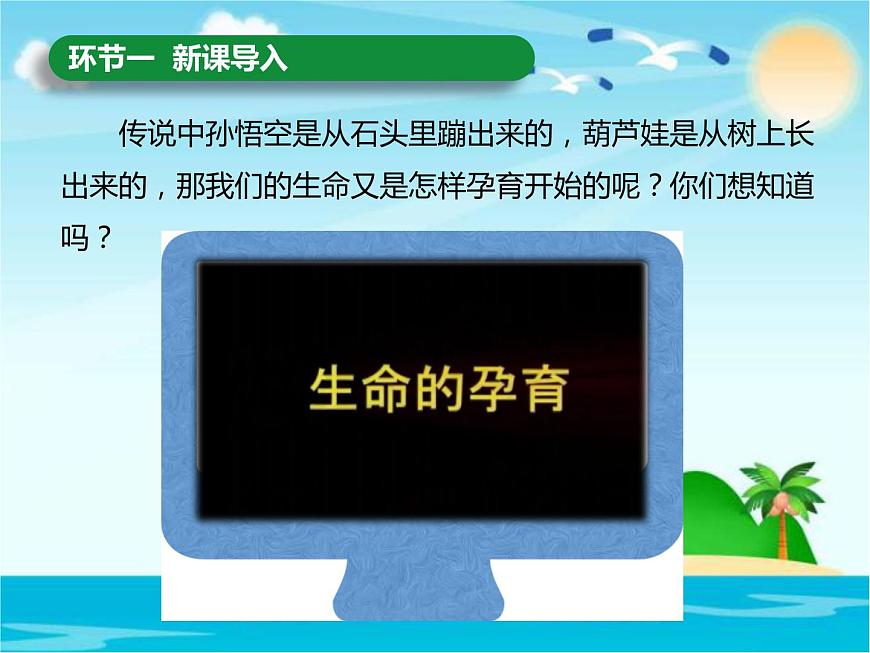 小學(xué)三年級(jí)上冊(cè)品德道德與法治-《生命最寶貴》(22張)ppt課件第4頁