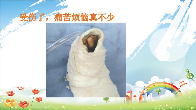 小学一年级上册道德与法治-11别伤着自己部编ppt课件04