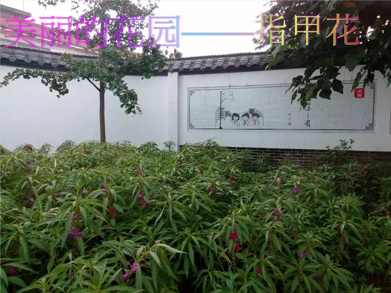小学一年级上册品德-我们的校园(6)-部编ppt课件05