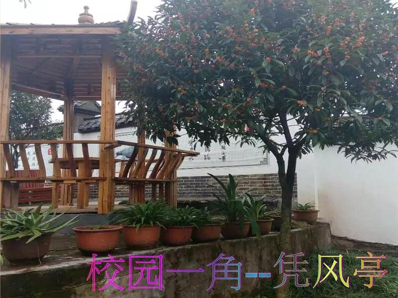 小学一年级上册品德-我们的校园(6)-部编ppt课件08