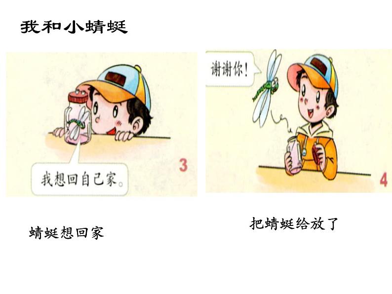 小学一年级下册道德与法治教学课件-7《可爱的动物》部编版(20张)课件04