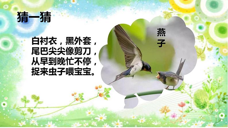 小学一年级下册道德与法治课件-《可爱的动物》部编版(31张)课件第5页